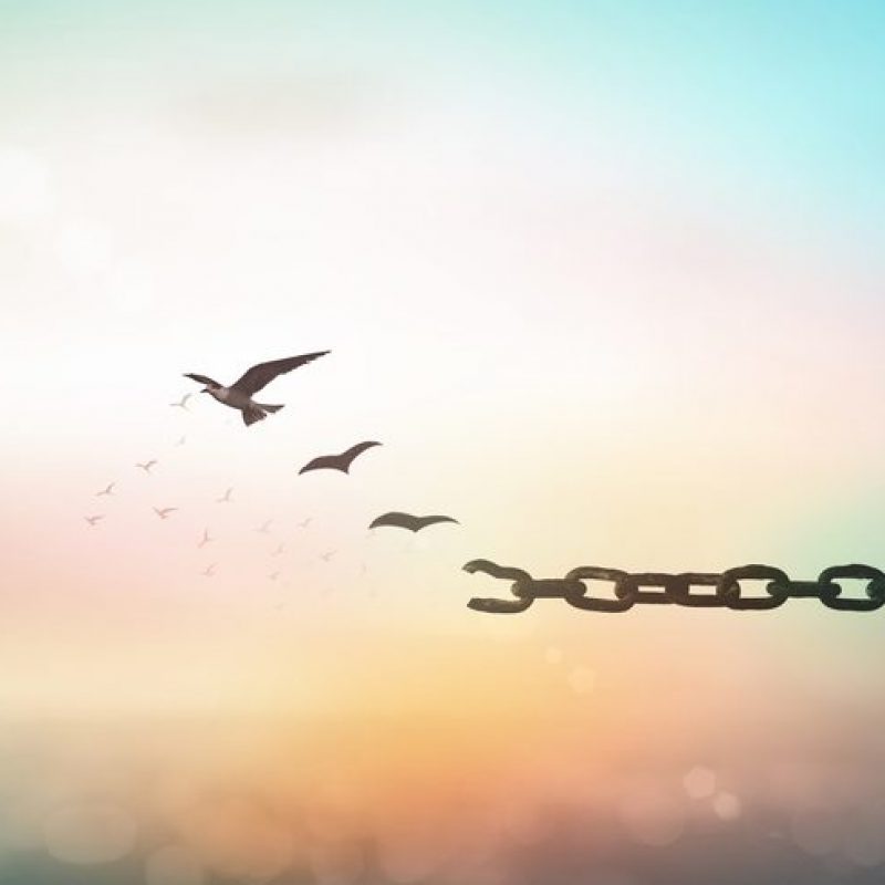 Silhouette of bird flying and broken chains at blurred sunset background